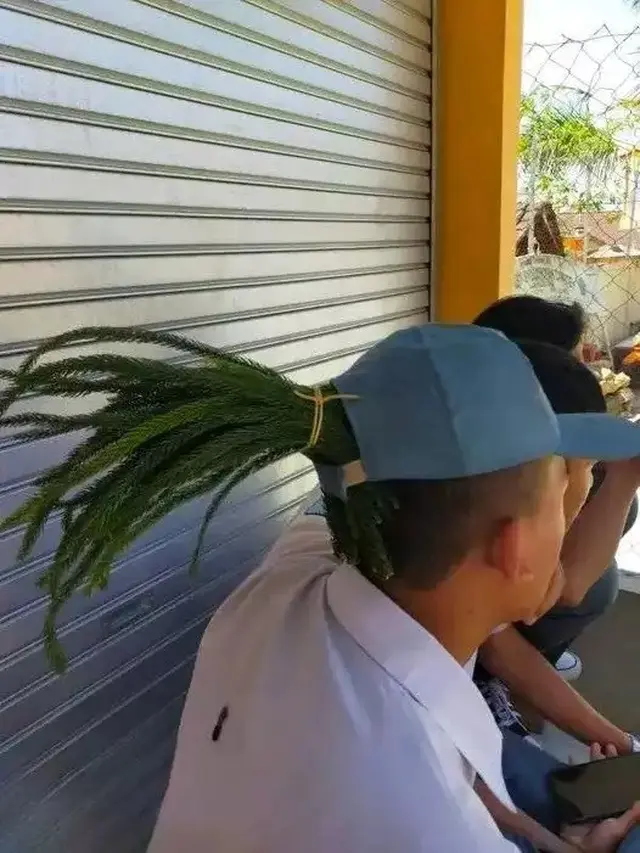 6 Tingkah Konyol Orang Punya Rambut dari Rumput, Absurd Banget