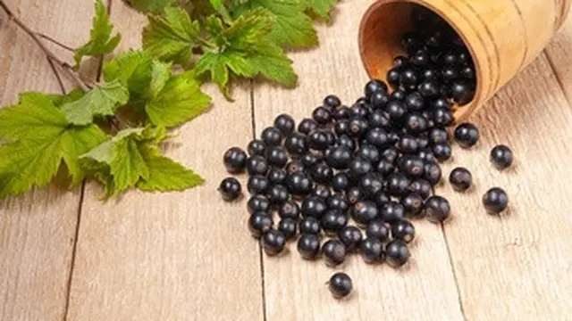 Melindungi dari Virus Influenza