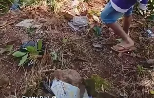 Pikap Rombongan Mahasiswa KKN Unhas Kecelakaan di Bantaeng