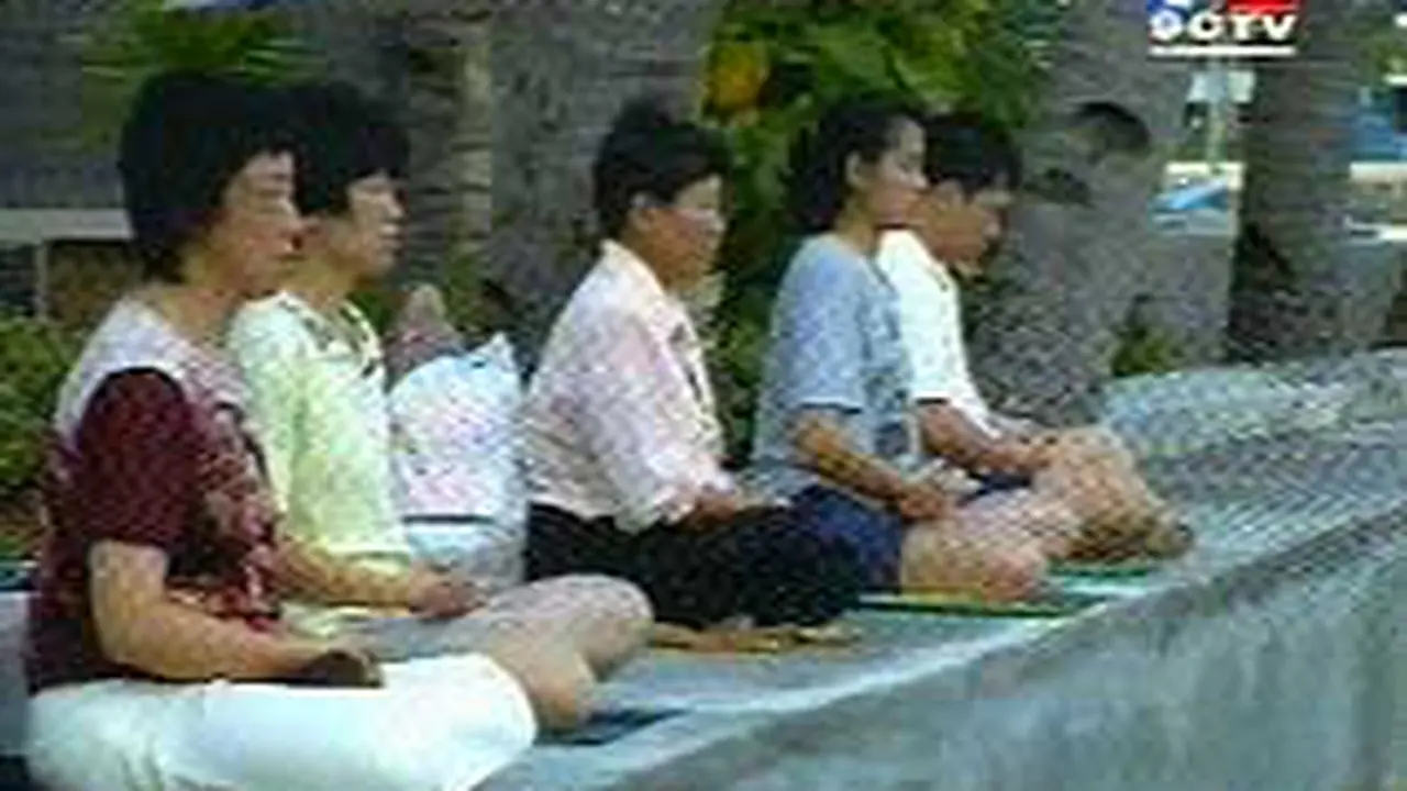 040301aFaelinkung.jpg