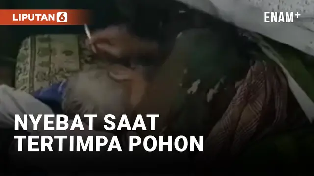 Kakek di Makassar Merokok dengan Santai Meski Tertimpa Pohon