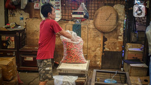 Harga Cabai Rawit Merah Tembus Hingga Rp 120 Ribu per Kilogram