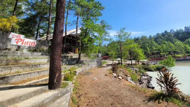 Hutan Pinus Lahendong