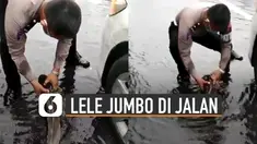 Beredar video petugas polisi sedang patroli menemukan seekor lele jumbo terdampar di jalan yang tergenang air.