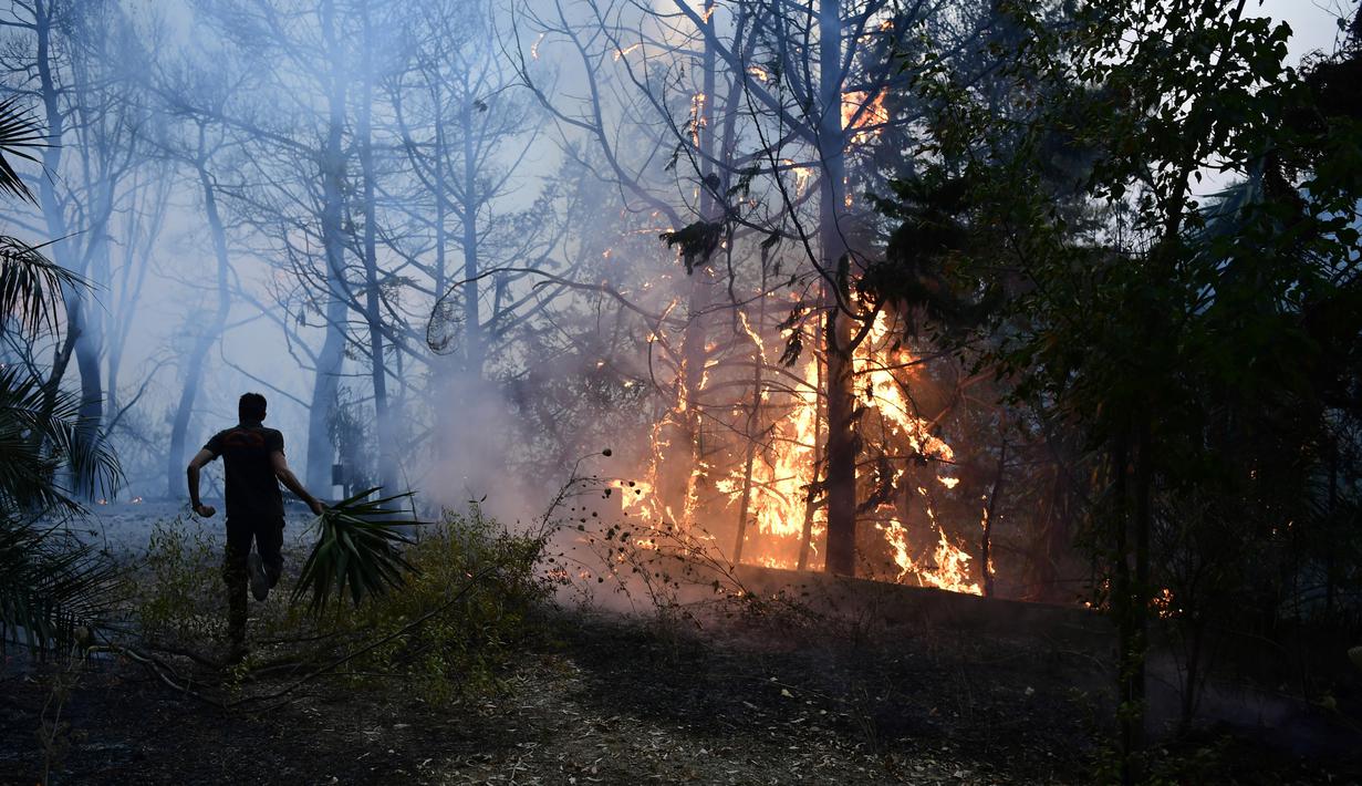 FOTO: Gelombang Panas Picu Kebakaran Hutan di Yunani