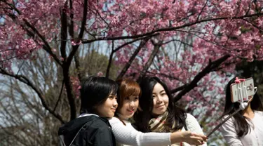 Tiga orang wanita berpose dengan latar Bunga Sakura di kawasan Asakusa Tokyo, Kamis (6/4). Musim mekarnya Bunga Sakura menarik minat wisatawan lokal dan manca negara. (AFP Photo/ Behrouz MEHRI)