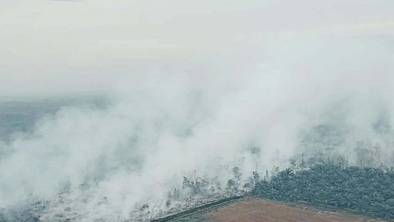 Kebakaran hutan dan lahan (karhutla) tahun ini karena ulah manusia ditambah fenomena el nino.