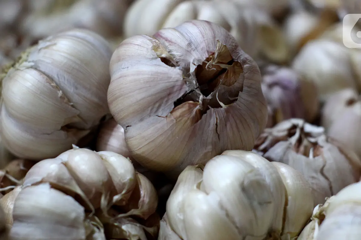 Harga Bawang Putih Melonjak