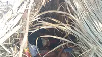 Foto: Warga Besipae, Kabupaten Timor Tengah Selatan bertahan hidup di gubuk dari daun setelah rumahnya digusur Pemprov NTT (Liputan6.com/Ola Keda)