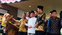 Presiden Jokowi memberikan sapi sebagai hewan kurban di PP Muhammadiyah (Merdeka.com/ Titin Supriatin)