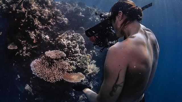 Potret Dikta Freediving di Pulau Menjangan, Menikmati Pemandangan di Bawah Laut. (Sumber: Instagram/dikta)