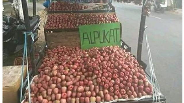 6 Cara Promosi Jualan Buah Tidak Nyambung Ini Bikin Tepuk Jidat