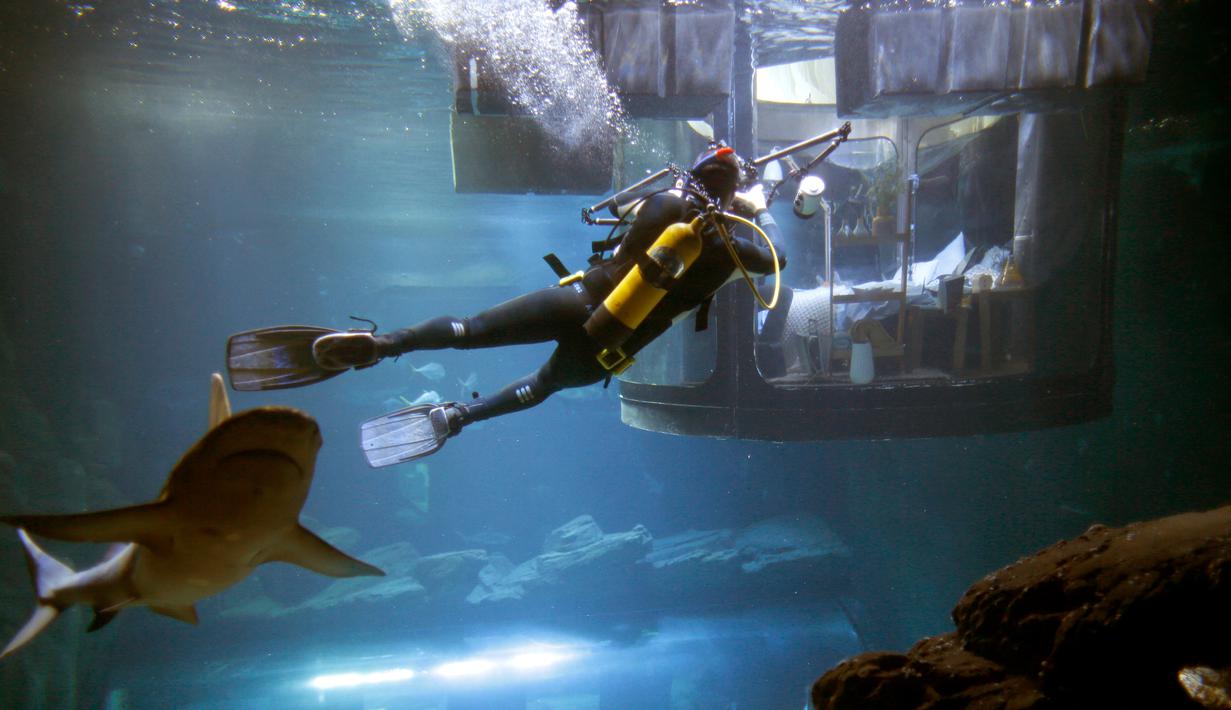 Seorang penyelam mengambil gambar pengunjung yang tengah melihat kawanan hiu dari sebuah kamar saat menginap di hotel bawah air Aquarium of Paris, Prancis, 14 Maret 2016. (REUTERS/Charles Platiau)