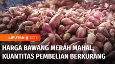 Sudah lebih dari 10 hari pasca Hari Raya Idulfitri, tapi harga sejumlah komoditas masih melambung tinggi di sejumlah daerah. Mahalnya harga tak hanya dikeluhkan para pembeli, para pedagang juga menjerit, karena omzet mereka ikut terjepit.