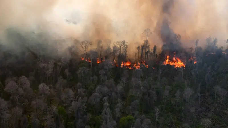 Tagar #TragediLawu Ungkap Cerita Korban Kebakaran Gunung Lawu