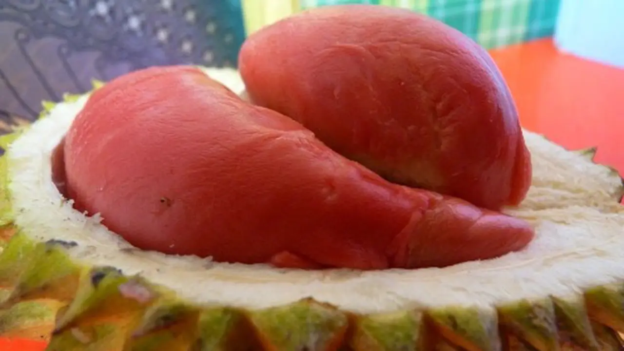 Lezatnya Durian Merah Asli Banyuwangi
