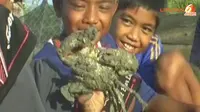 [VIDEO] Libur Telah Tiba! Ayo Belajar Panen Kepiting Bakau