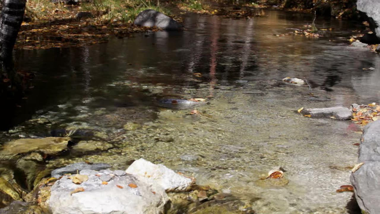 Kepergok Ambil Minyak Bekas di Got, Wanita Ini Dikecam