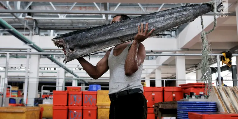 Pasar Ikan Modern Muara Baru Mulai Ditempati Pedagang