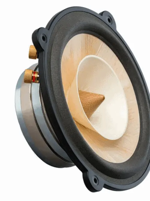 Jenis Jenis Speaker Beserta Gambarnya Ketahui Fungsinya Hot