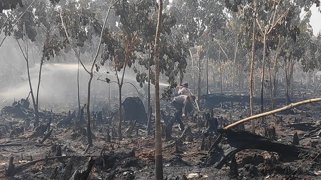 Proses pemadaman kebakaran lahan di Riau beberapa waktu lalu.