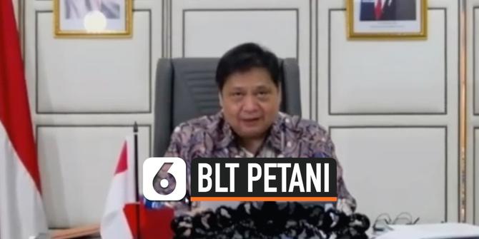VIDEO: Jokowi Putuskan Beri BLT Rp 600 Ribu ke 2,4 Juta Petani Miskin