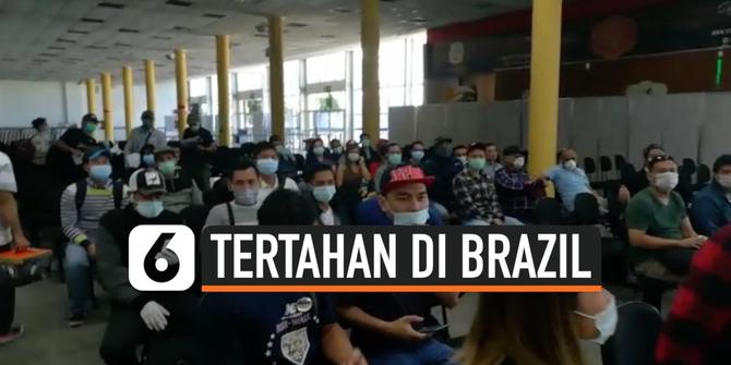 VIDEO: Perjuangan Ratusan WNI ABK Kapal Pesiar yang Tertahan di Brasil