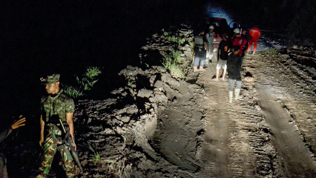 Setelah Terkena Bius, Jejak Harimau Bonita Kini Sulit Terlacak