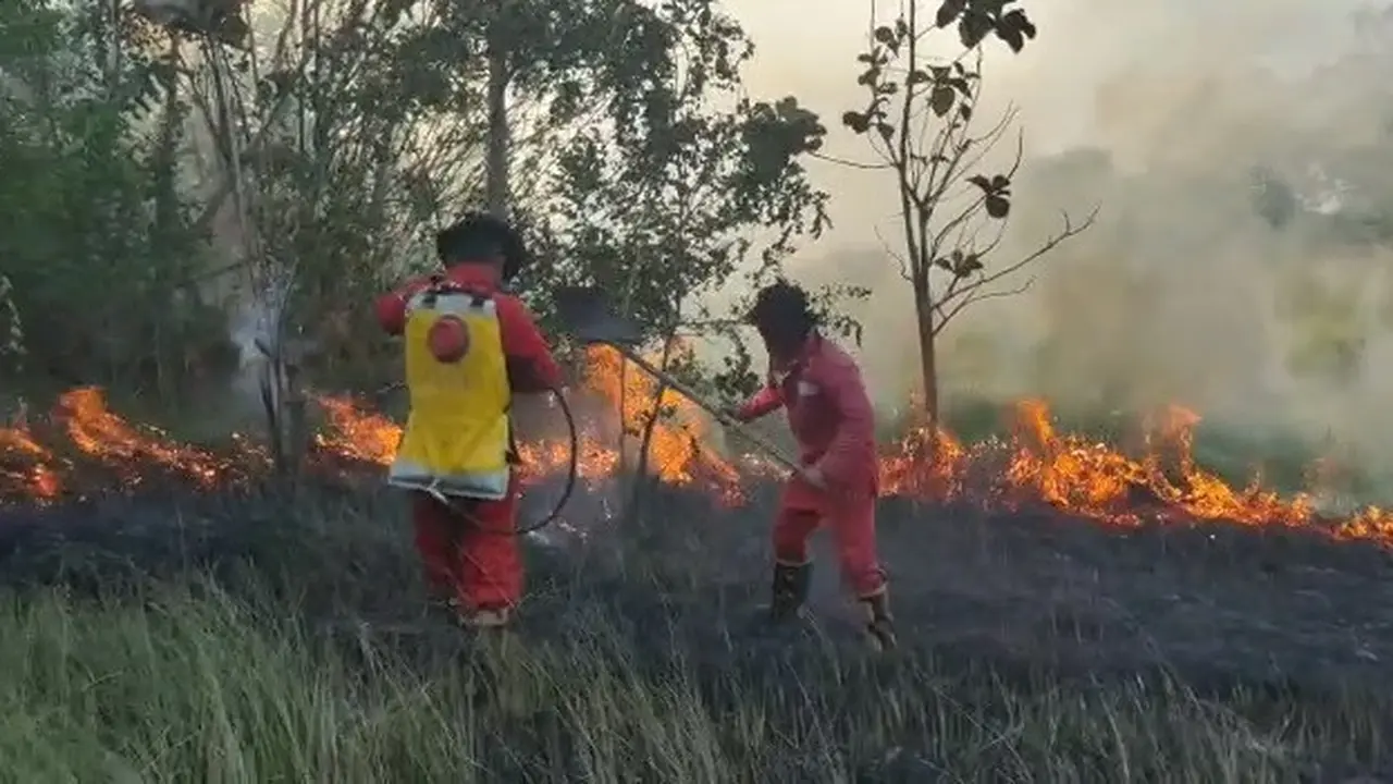 Kebakaran hutan di Konawe Selatan, mengakibatkan kabut asap dan lahan  terbakar seluas 6 hektar.(Liputan6.com/Ahmad Akbar Fua)