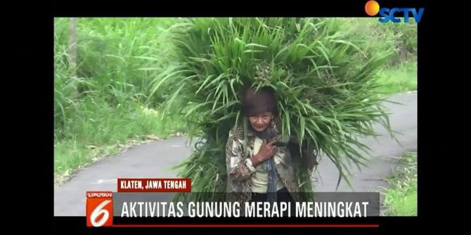 Meski Status Waspada, Warga Masih Merumput di Kawasan Gunung Merapi