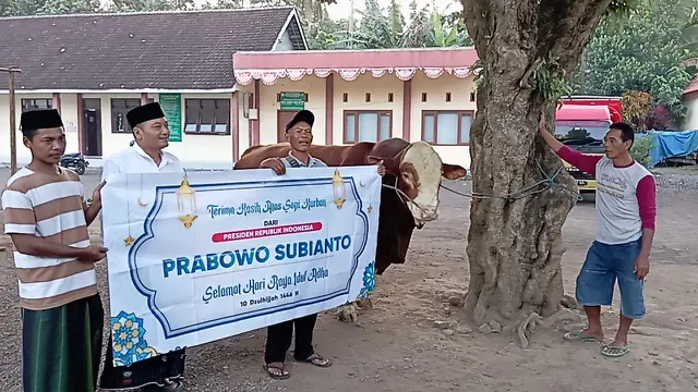 Pengasuh Pondok Pesantren Bahrul Hidayah, KH.Mohammad Ali Makki Zaini bersama Katenu saat serah terima seekor sapi seberat satu ton, Kamis sore, 5 Juni 2025. (Istimewa)