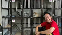 Menengok Rumah Kucing Denny Cagur yang Berkonsep Playground. foto: Youtube 'Denny Cagur TV'