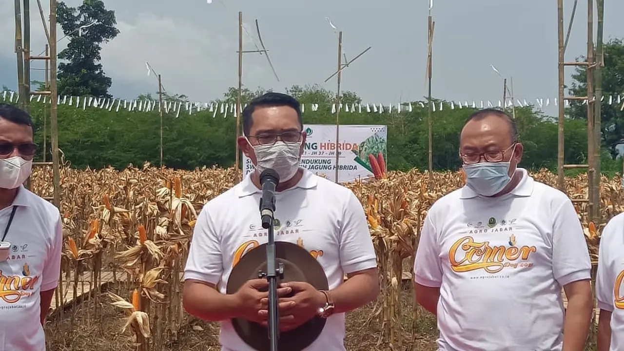 Gubernur Jawa Barat Ridwan Kamil bersama pejabat terkait memberikan penjelasan ihwal program petani milenial di Jawa Barat tahun ini.