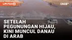 Geger! Danau Muncul di Arab Saudi