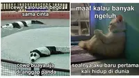 6 Meme Pakai Gambar Hewan Ini Kocak, Bikin Tepuk Jidat (IG/rieztz)