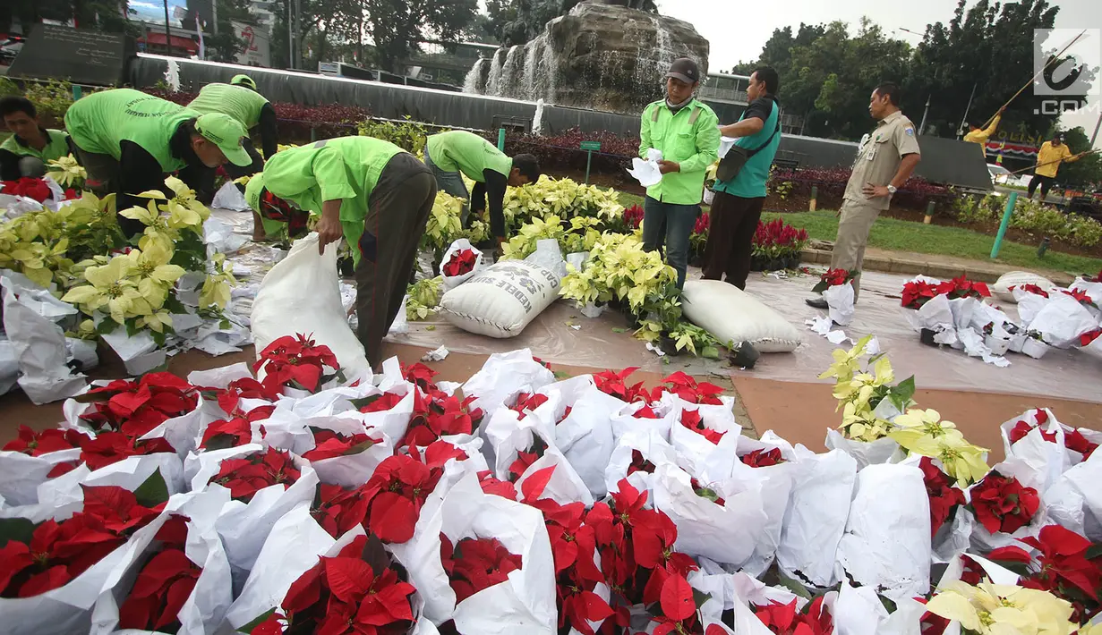 Petugas menata sejumlah tanaman di sekitar Patung Kuda Arjuna Wiwaha, Jakarta, Selasa (15/8). Pembersihan kolam serta penataan tanaman dilakukan dalam rangka peringatan hari kemerdekaan RI pada 17 Agustus mendatang. (Liputan6.com/Immanuel Antonius)