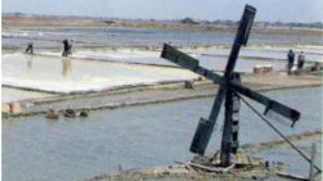 Tercemar Minyak Pertamina, Petani Garam di Karawang Berhenti Produksi