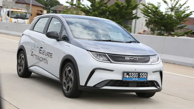 BYD Dolphin