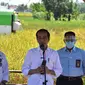 Presiden RI Joko Widodo (Jokowi) meninjau panen padi di Desa Wanasari, Kabupaten Indramayu, Provinsi Jawa Barat.