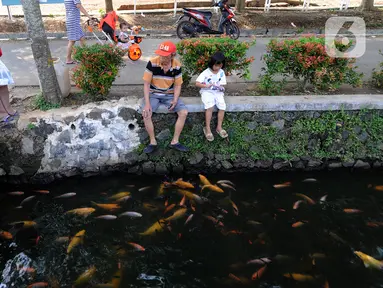 Warga memberi makan ikan yang dikembangbiakkan di saluran air di Perumahan Puri Pamulang, Tangerang Selatan, Selasa (8/9/2020). Selokan sepanjang 400 meter yang dulu kumuh, kini disulap menjadi kolam ikan untuk hiburan dan meningkatkan perekonomian warga dengan menjualnya. (merdeka.com/Arie Basuki)