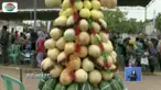 Warga Lamongan dan sekitarnya berebut buah hasil panen raya di Festival Gunungan.