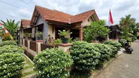 9 Jenis Semak Hias yang Tidak Perlu Sering Dipangkas, Cocok untuk Pemula