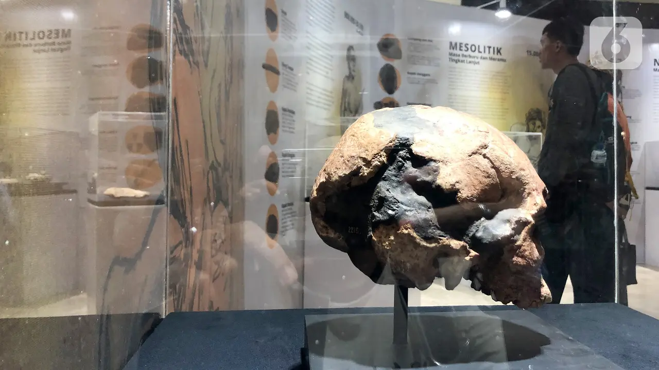 Mengintip Pameran Asal Usul Orang Indonesia
