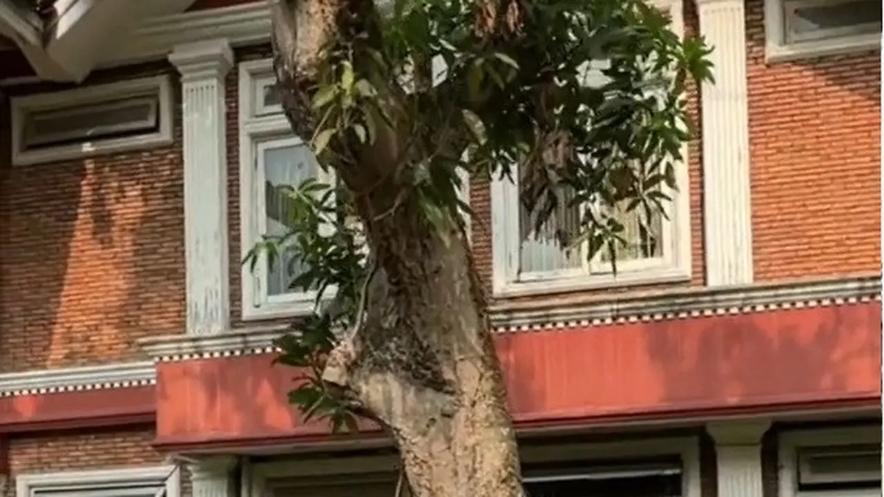 Penampakan rumah merah Genta Buana yang tak terurus lagi