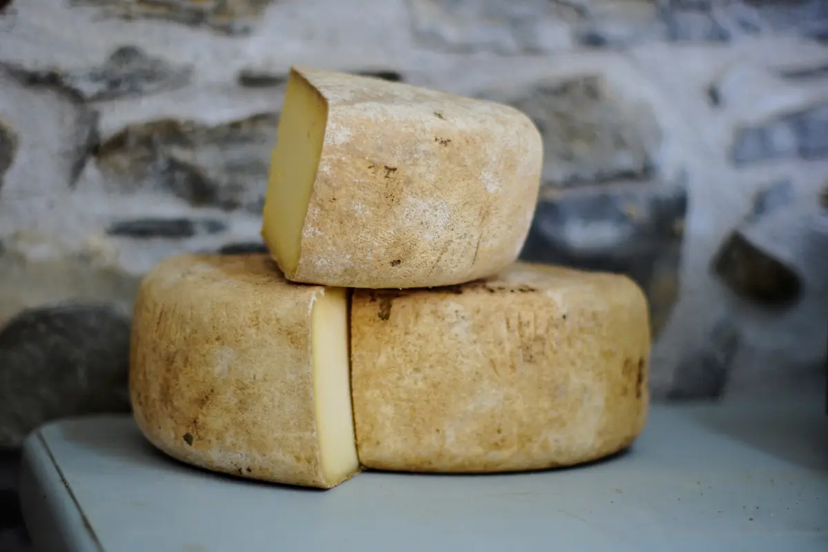 keju parmesan