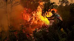 Potret Kabut Asap Karhutla Kepung Sumatra dan Kalimantan