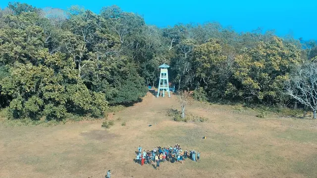 Open Trip
