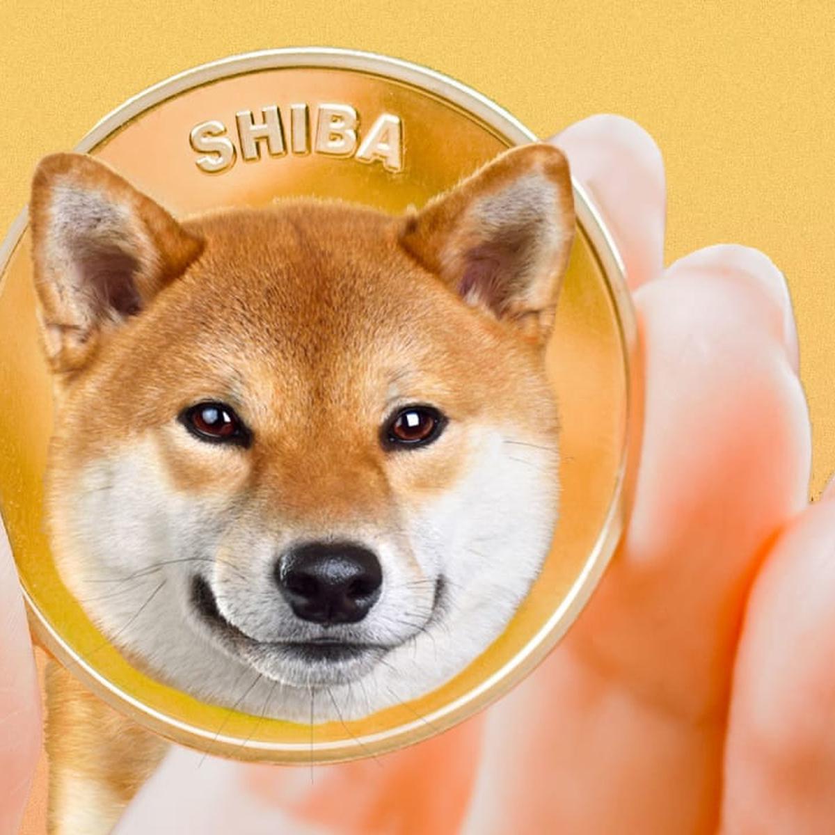 054849500 1635397466 p 1 SHIB coin why is the Shiba Inu cryptocurrency surging
