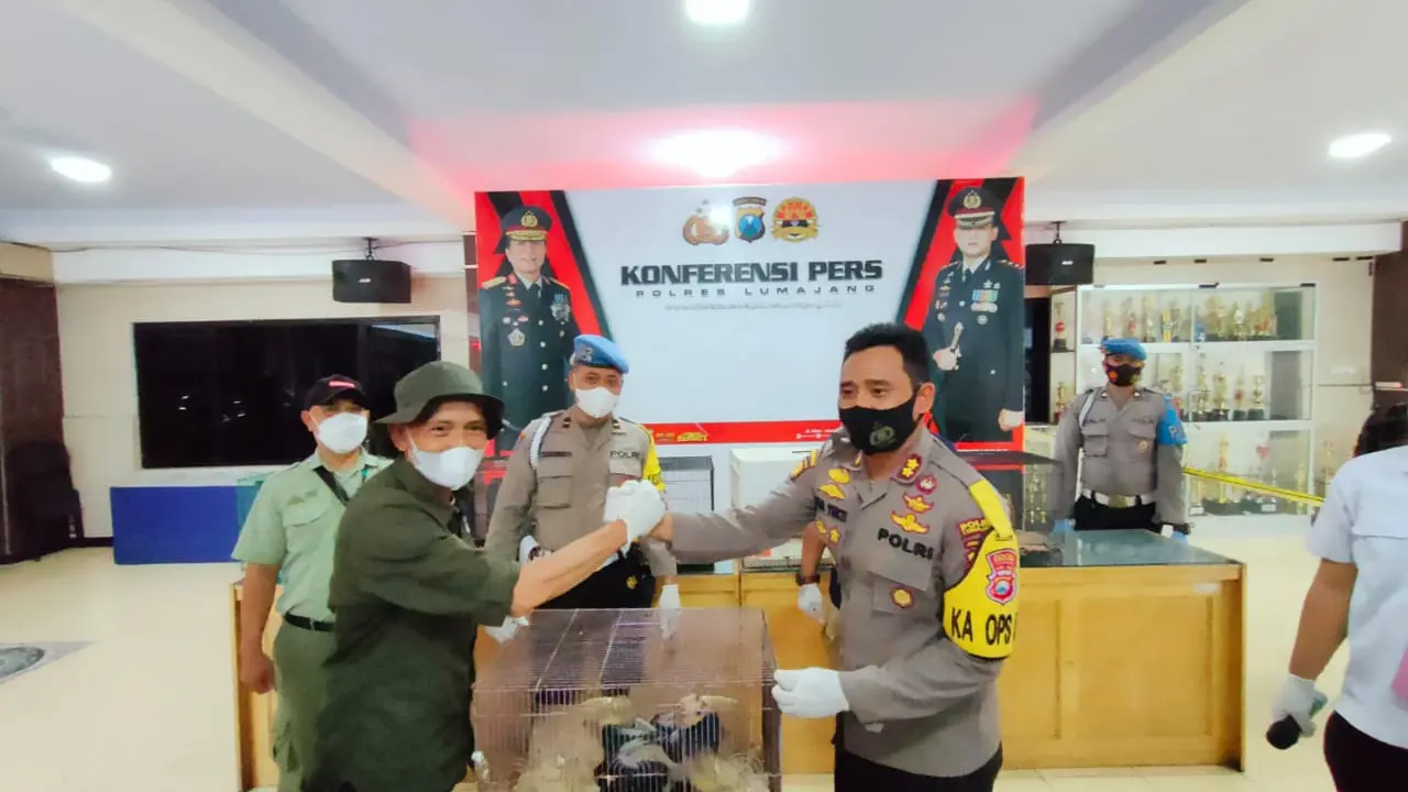 Polres Lumajang mengamankan sejumlah satwa langka dari warga Lumajang. (Dian Kurniawan/Liputan6.com)