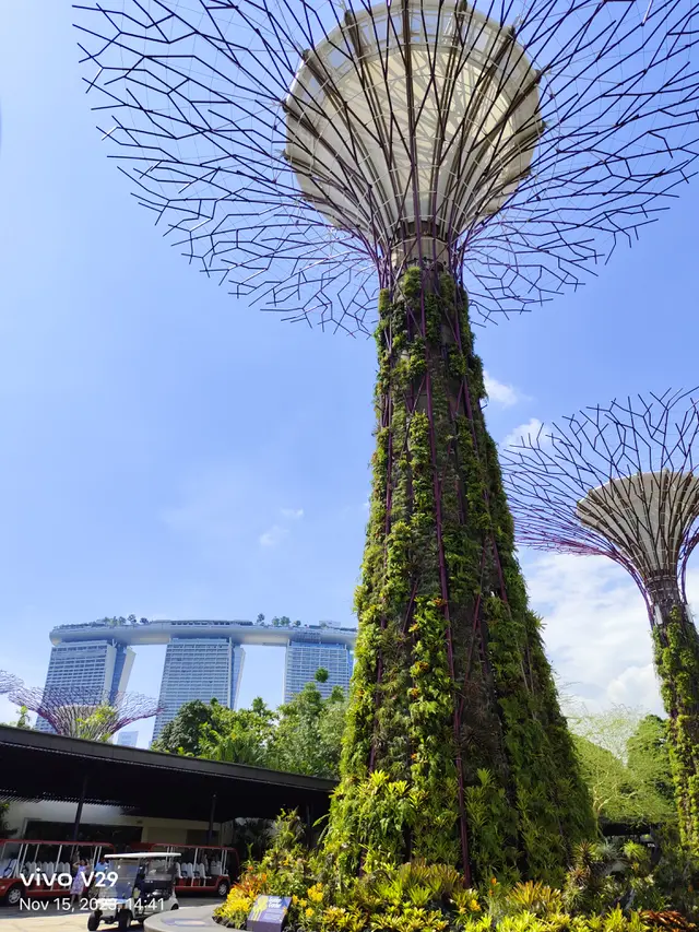Mengabadikan Keindahan Singapura Lewat Kamera Vivo V29